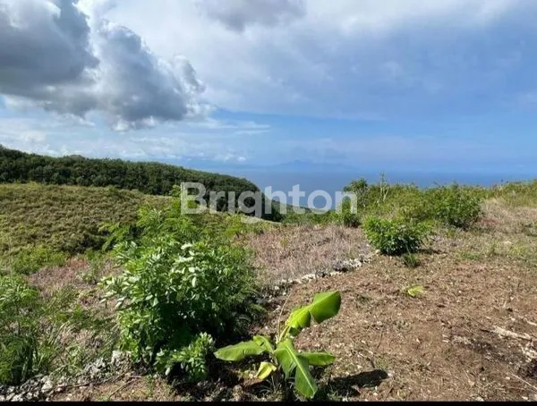 image DIJUAL TANAH KAWASAN PARIWISATA DESA SUANA, VIEW\' OCEAN  (1)