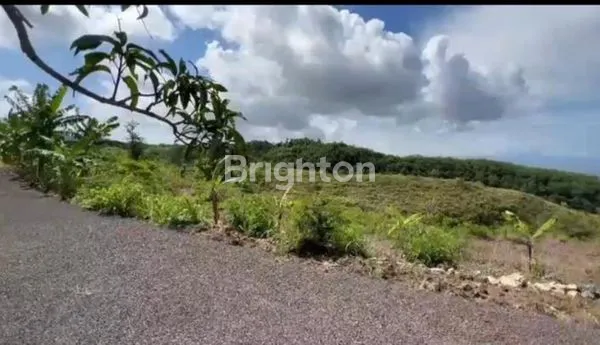 image DIJUAL TANAH KAWASAN PARIWISATA DESA SUANA, VIEW\' OCEAN  (4)