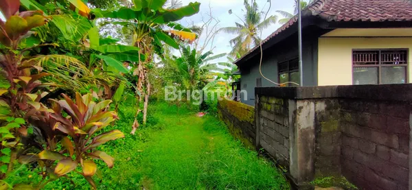 image TANAH DI DESA ANTAP SELEMADEG TABANAN (2)