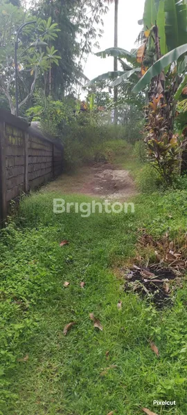 image TANAH DI DESA ANTAP SELEMADEG TABANAN (3)