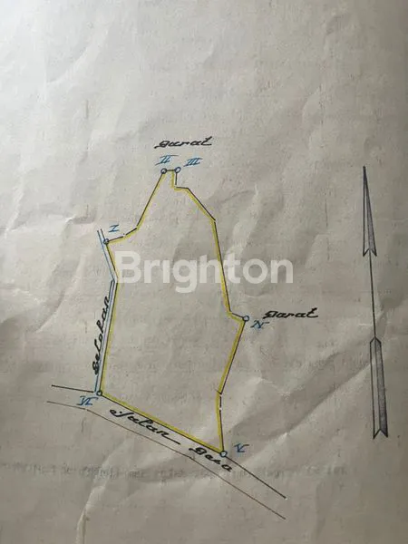 image JUAL TANAH DAN VILLA JL SUKAJAYA TAMANSARI BOGOR (5)