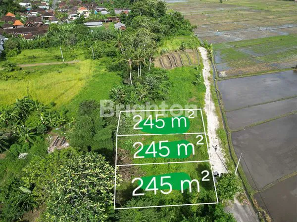TANAH STRATEGIS DEKAT PANTAI VIEW SAWAH LOST SUNGAI KEDUNGU NYITDAH