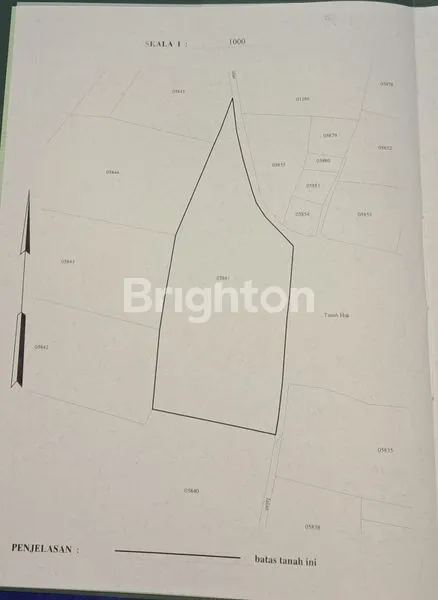 image TANAH PERTANIAN SUBUR, KARANGPLOSO, MALANG (2)