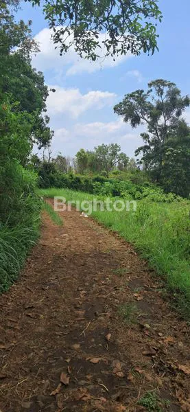 image TANAH PERTANIAN SUBUR, KARANGPLOSO, MALANG (3)