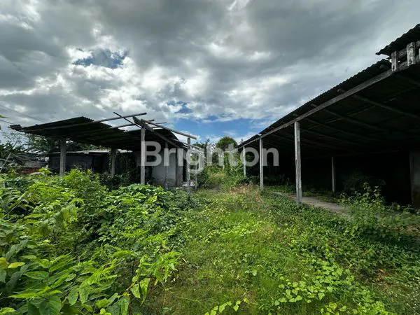 image TANAH KOMERSIL SUPER STRATEGIS , LUAS 9,25 ARE DI BYPASS SANUR  (4)