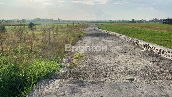 image TANAH ZONA PINK DI CEMAGI MENGWI (5)