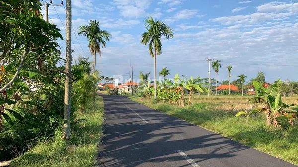 image TANAH ZONA PINK DI CEMAGI MENGWI (1)