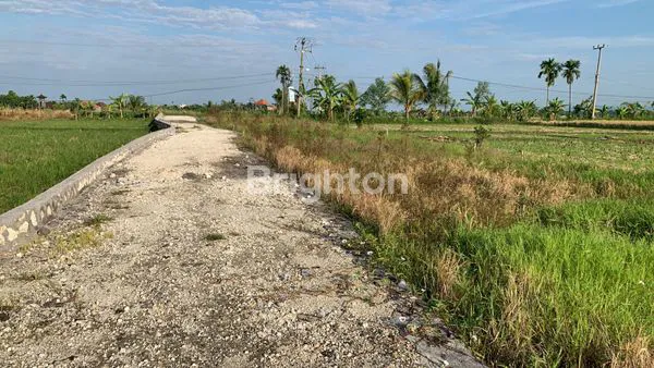 image TANAH ZONA PINK DI CEMAGI MENGWI (3)