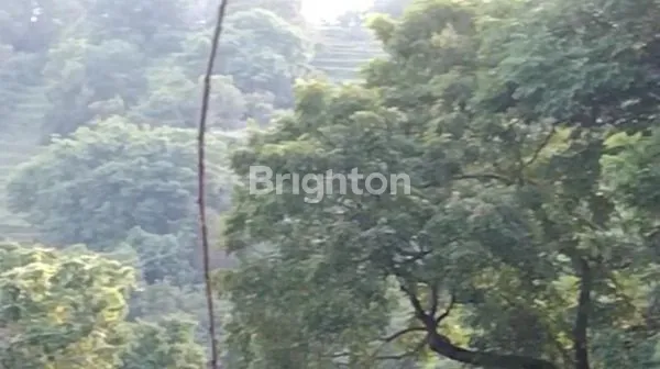 TANAH DIJUAL DI CANDIDASA, KARANGASEM – LOKASI PREMIUM VIEW LAUT