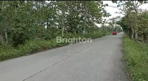 image TANAH MURAH ZONA INDUSTRI (3)