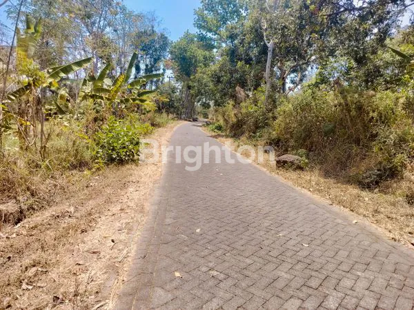 image KEBUN MANGGA HANYA 15 MENIT KE EXIT TOL PURWODADI, SAYGON WATERPARK, DAN KEBUN RAYA PURWODADI  (1)