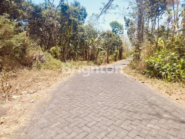 image KEBUN MANGGA HANYA 15 MENIT KE EXIT TOL PURWODADI, SAYGON WATERPARK, DAN KEBUN RAYA PURWODADI  (2)