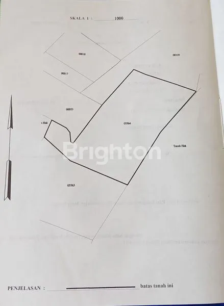 image TANAH KEBUN KOPI (2)