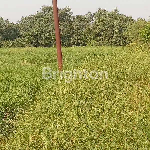 image TANAH DIJUAL 2.8 HEKTAR (4)