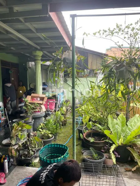 image RUMAH DI PENUMPING (4)