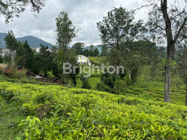 TANAH MURAH STRATEGSI