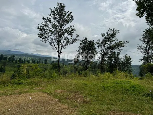 image TANAH STRATEGIS MURAH (1)