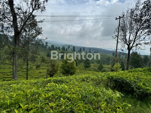 image TANAH MURAH STRATEGIS (1)