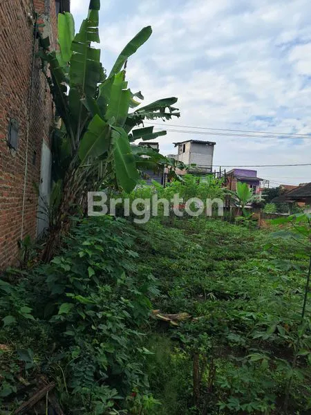 image TANAH DI CISANGKAN (2)