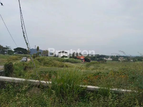 TANAH SAWAH DAERAH MOJOROTO