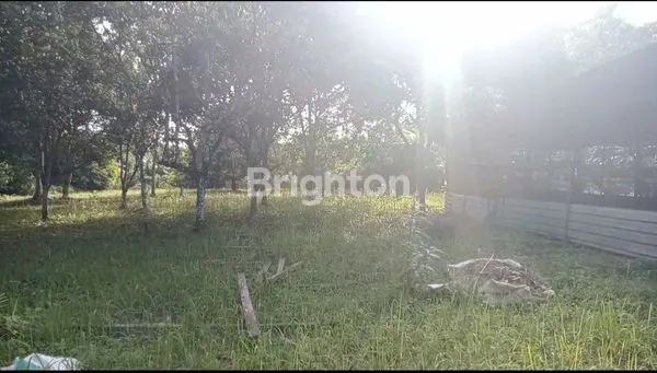 image LAHAN STRATEGIS SIAP BANGUN DI JALAN TEUKU UMAR, SAMARINDA - LOKASI TENGAH KOTA, DEKAT FASILITAS (4)