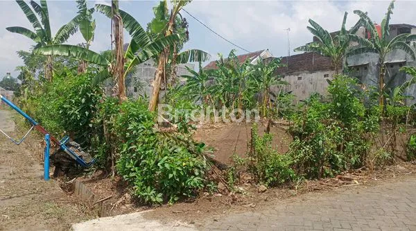 Gambar Property TANAH SINGOSARI