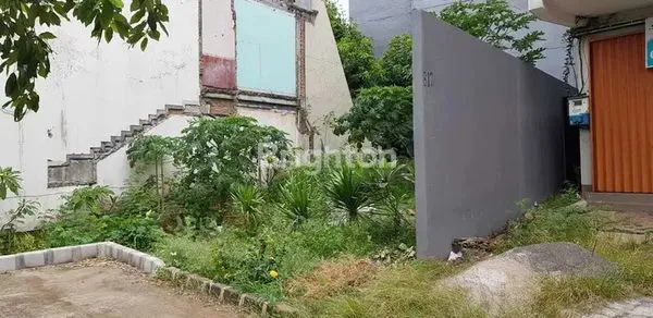 image TANAH COCOK UNTUK USAHA (2)