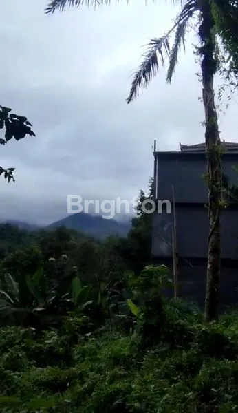 image TANAH EKSLUSIF BERPEMANDANGAN BUKIT DI KAWASAN WISATA JATILUWIH TABANAN (2)