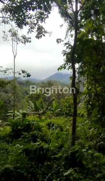 image TANAH EKSLUSIF BERPEMANDANGAN BUKIT DI KAWASAN WISATA JATILUWIH TABANAN (3)