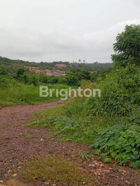 DIJUAL TANAH SANGATTA