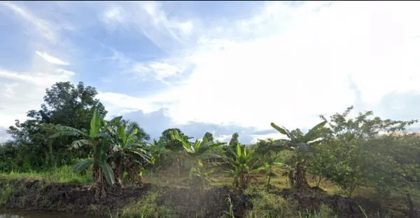 image DIJUAL TANAH SANGATTA (6)