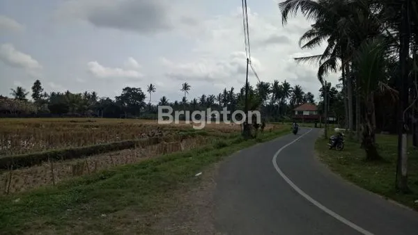image TANAH 19 ARE – VIEW SUNGAI ALAMI DI PEJENG KAWAN, TAMPAKSIRING, GIANYAR (8)