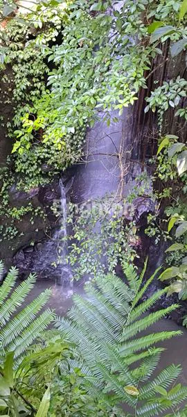 image TANAH 19 ARE – VIEW SUNGAI ALAMI DI PEJENG KAWAN, TAMPAKSIRING, GIANYAR (2)