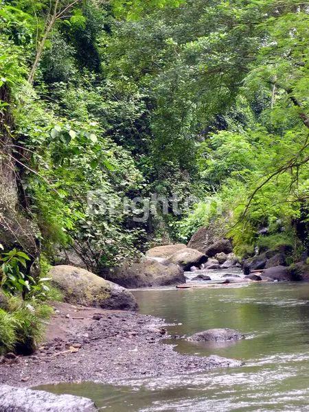 image TANAH 19 ARE – VIEW SUNGAI ALAMI DI PEJENG KAWAN, TAMPAKSIRING, GIANYAR (7)