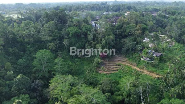 image TANAH 19 ARE – VIEW SUNGAI ALAMI DI PEJENG KAWAN, TAMPAKSIRING, GIANYAR (1)