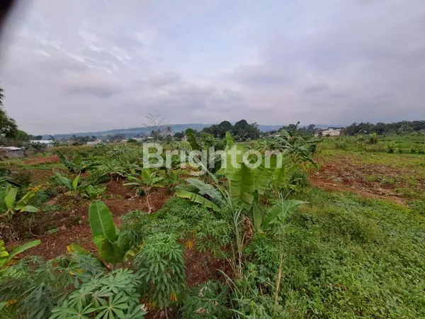 DIJUAL TANAH SUBUR DI AREA SENTUL BOGOR