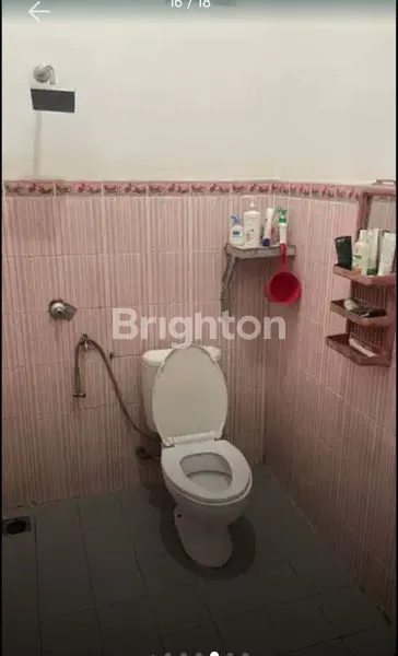 image JUAL KALIDONI (7)