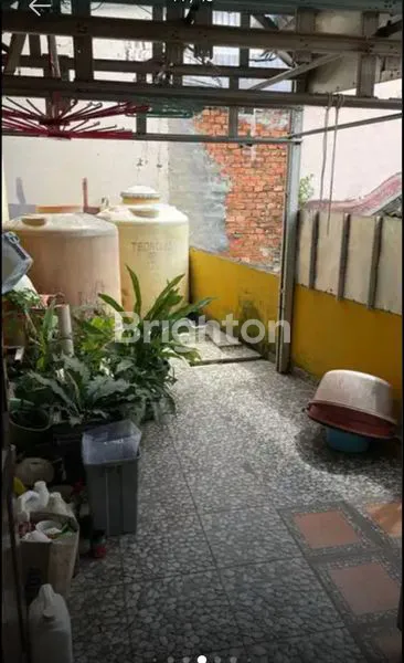 image JUAL KALIDONI (6)