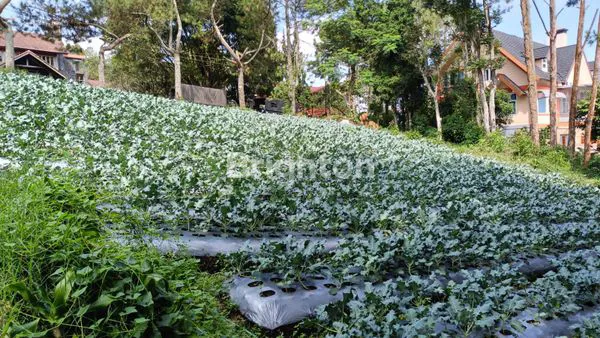 Gambar Property JUAL SEGERA TANAH KAV DI VILLA ISTANA BUNGA LEMBANG