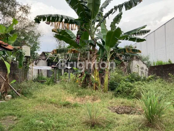 image RUMAH DAN TANAH LUAS STRATEGIS RAYA JATINOM KLATEN (5)