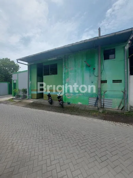 image GUDANG TROPODO (1)