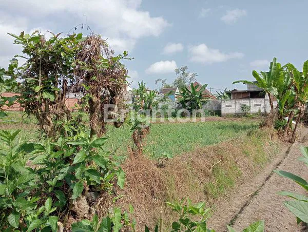 image TANAH KOSONG DI TUMPANG MALANG, COCOK UNTUK DI BANGUN USAHA ATAU PERUMAHAN MODERN MINIMALIS (1)