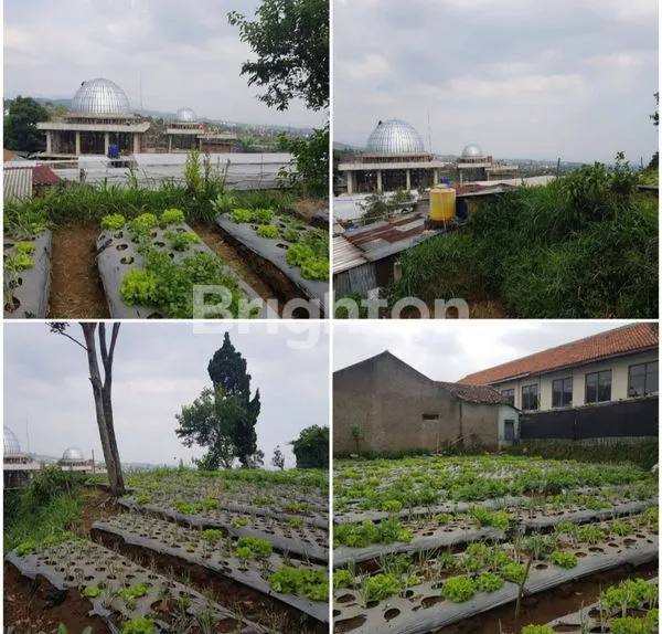 Gambar Property JUAL TANAH DI LEMBANG