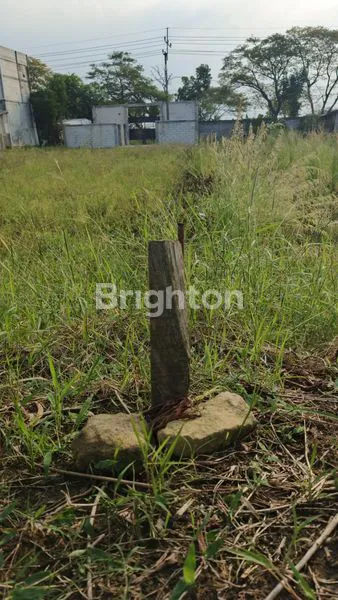 image TANAH LUAS 940M² DI TAMBAKBOYO, LAMONGAN HARGA TERJANGKAU (4)