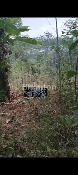 DI JUAL CEPAT SEBIDANG TANAH