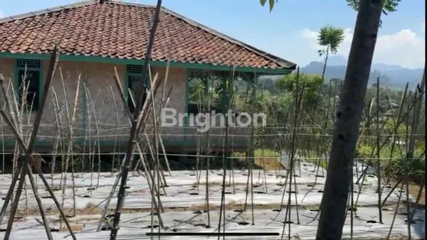 image TANAH LAHAN KEBUN SUKABUMI (3)