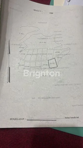 image TANAH LAHAN KEBUN SUKABUMI (2)