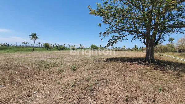 TANAH/KAVLING DI WAINGAPU, SUMBA TIMUR, NTT