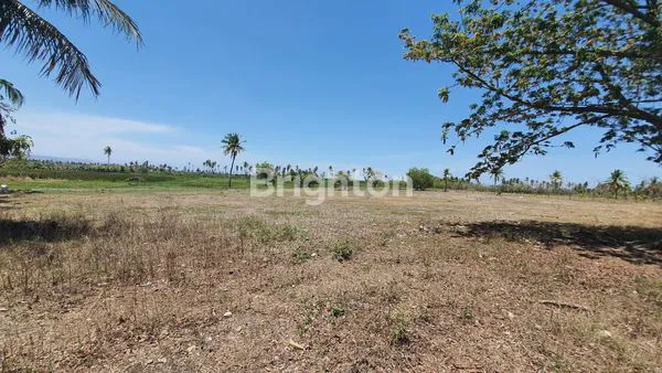 image TANAH/KAVLING DI WAINGAPU, SUMBA TIMUR, NTT (3)