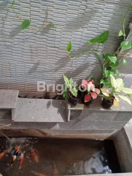 image HOT LISTING!! SERPONG NATURA -- RUMAH 2 LANTAI SIAP PAKAI (5)